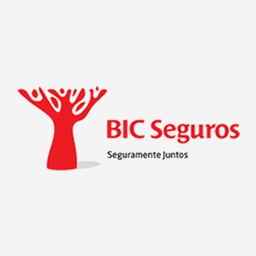 BIC seguros